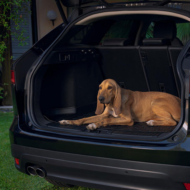 MTM Kofferraumwanne kompatibel mit Kia Sorento IV 7 Sitze Diesel 2020-, Kofferraummatten Passgenaue