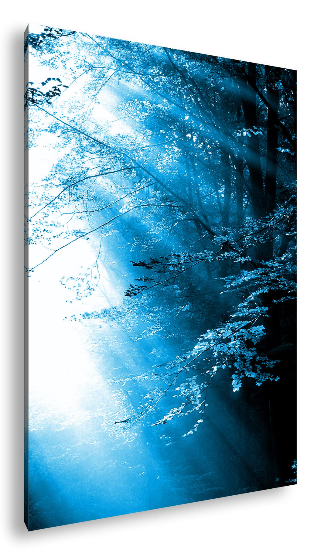 deyoli herbstlicher Wald mit Sonnenstrahlen Format 80x60 Effekt: Monocrome Blau als Leinwandbild, Mo