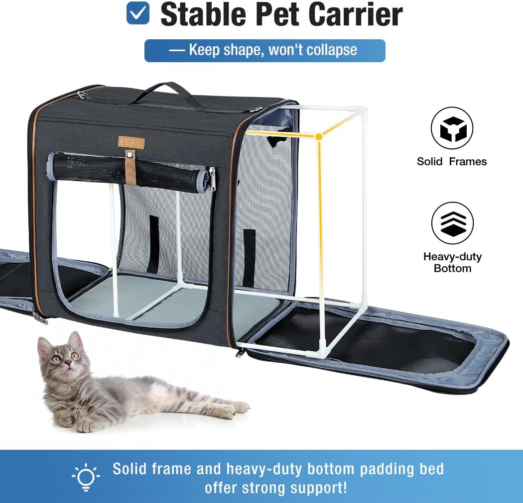 2-in-1 Hundebox Transportbox Katze für Mittelgrosses Haustier, Faltbare Katzentransportbox mit Stark