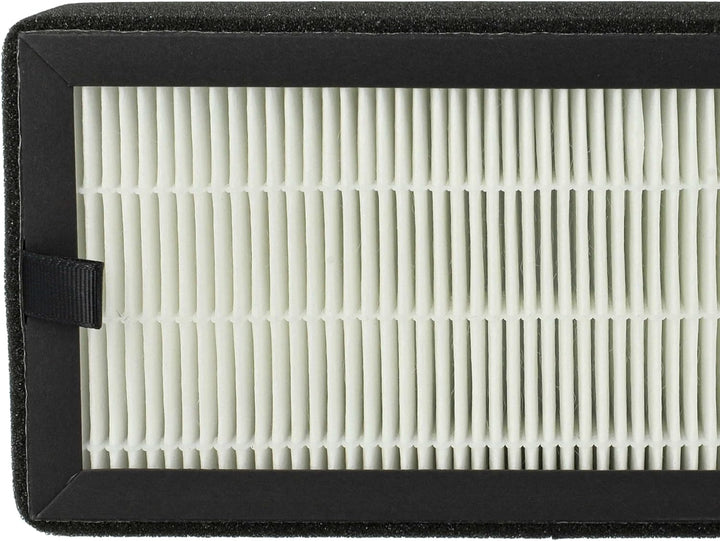 vhbw 2x HEPA 13 Filter kompatibel mit Baren B-747, B-757 Luftreiniger - Ersatz-Filter