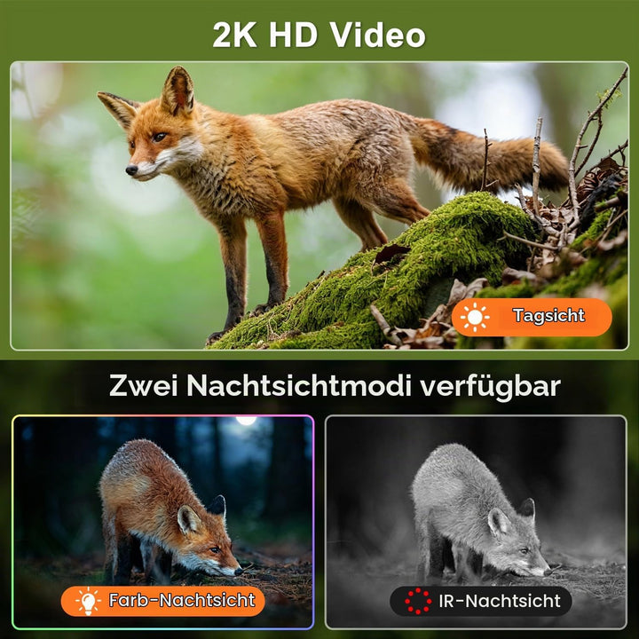 Lemnoi 2er Pack Solar Wildkamera Ohne WLAN, 4G LTE Überwachungskamera Aussen mit vorinstallierter SI