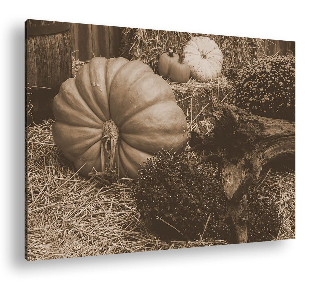 deyoli herbstliche Kürbisernte Format: 80x60 als Leinwand, Effekt: Sepia, Motiv fertig gerahmt auf E