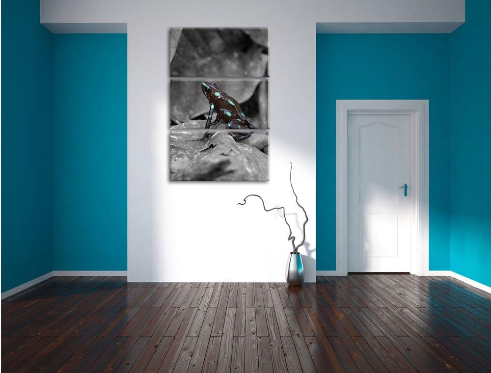 Pixxprint Baumsteiger Frosch als Leinwandbild/Grösse: 3 Teilig (120x80) cm/Wandbild/Kunstdruck/ferti