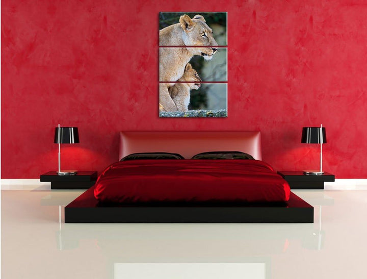 Pixxprint Löwenmutter mit Jungtier als Leinwandbild/Grösse: 3 Teilig (120x80) cm/Wandbild/Kunstdruck