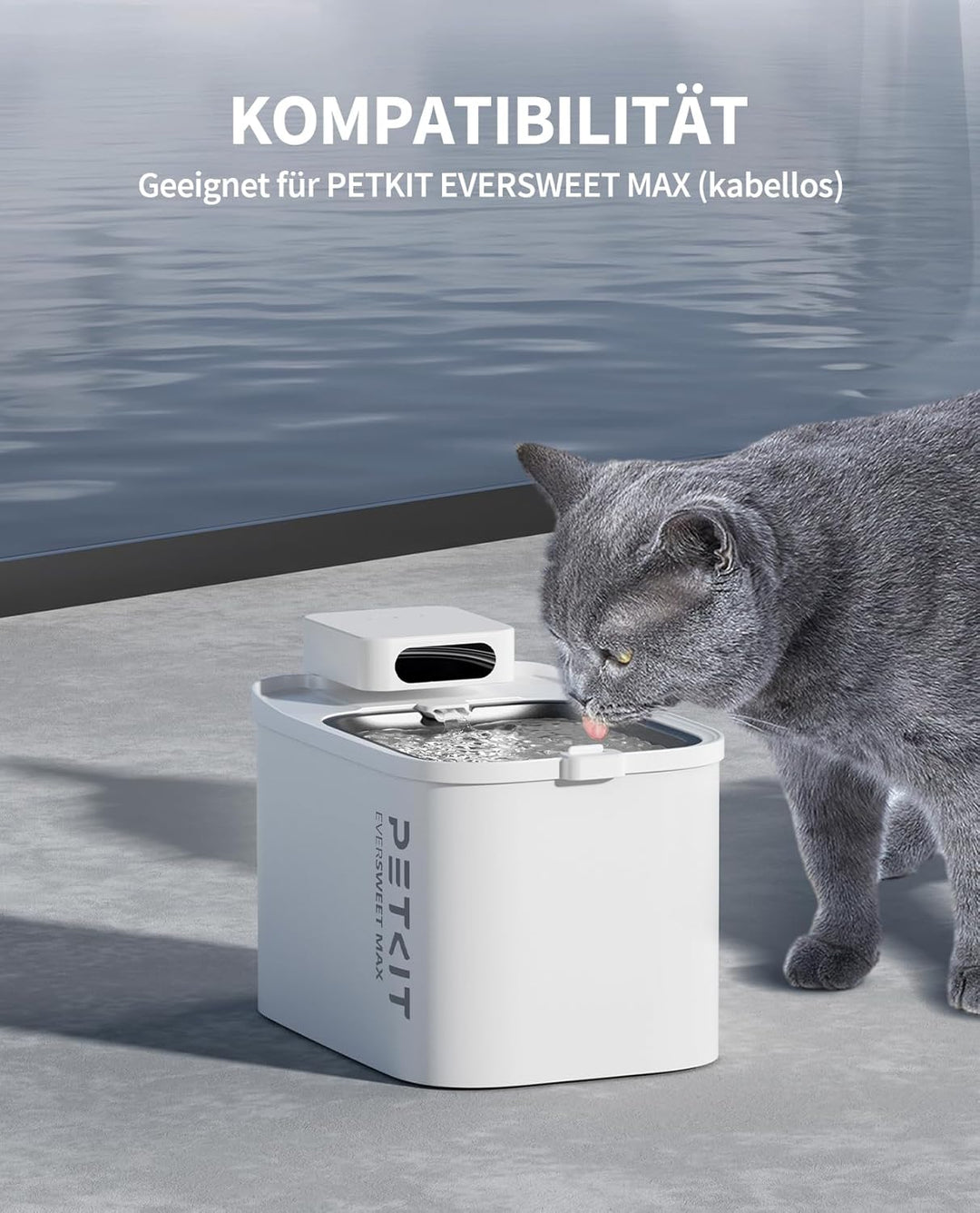 PETKIT EVERSWEET MAX Filter,Aktivkohle, Hocheffiziente Filtration,5pcs für Katzen Hunde Trinkbrunnen