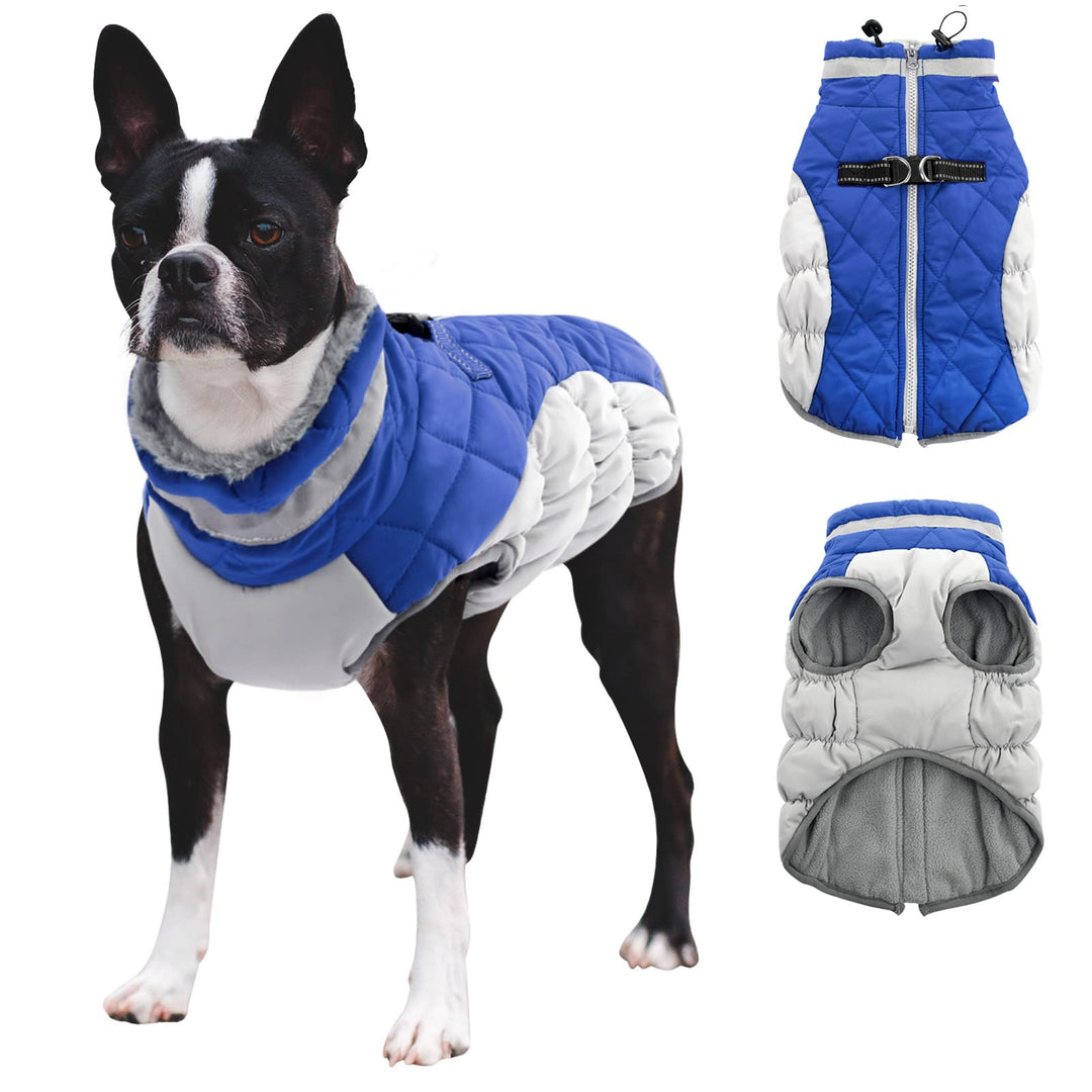 Wintermantel für Hunde, wasserdichte Jacke mit Trägern und Wollfutter, Kleidung für kleine und mitte