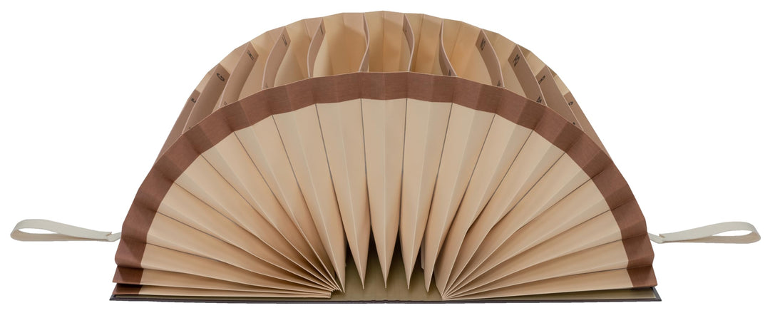 Leitz 56050000 SchriftenOrdner (A4, 20 Fächer, A-Z-Taben, graupappe RC, mit PP Kaschierung) braun