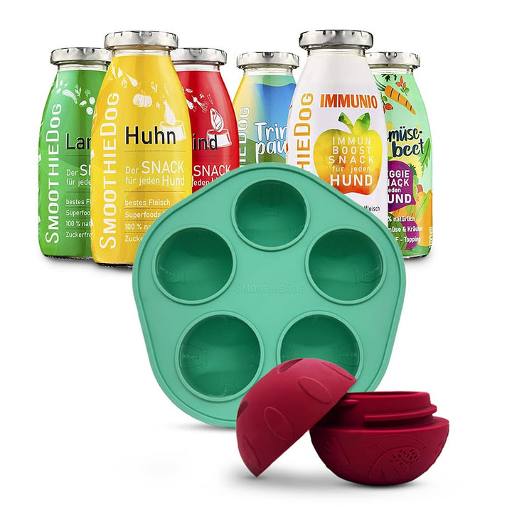 SmoothieDog Schleckball + SmoothieDog Hundesmoothie 6er Mix - Schleckball für Hunde, Snackball, zur