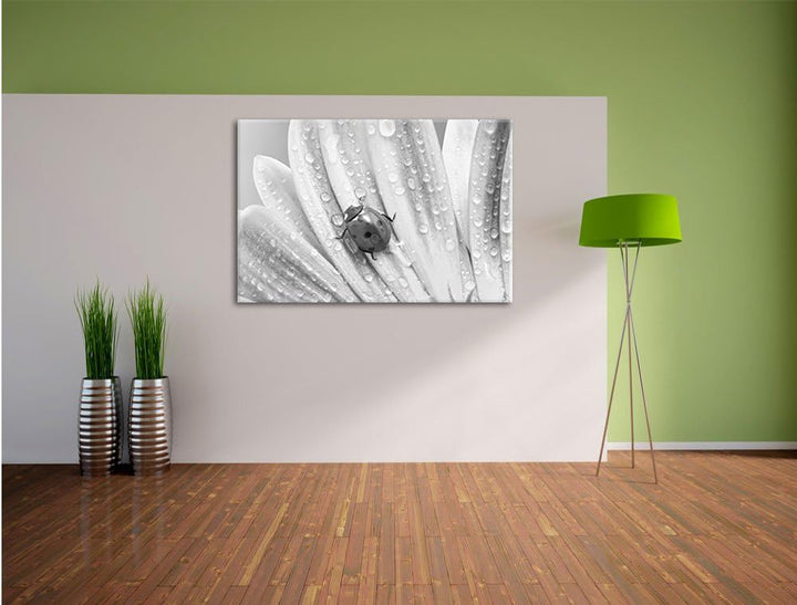 Pixxprint Marienkäfer auf gelber Blume / 100x70cm Leinwandbild bespannt auf Holzrahmen/Wandbild Kuns