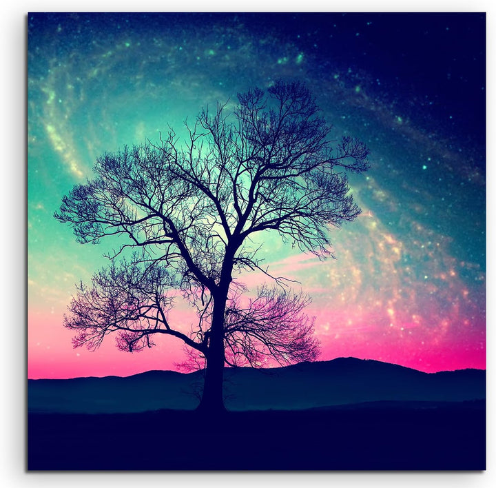 Paul Sinus Art Leinwandbild 60x60cm Künstlerische Fotografie – Baumsilhouette vor Milchstrasse auf L