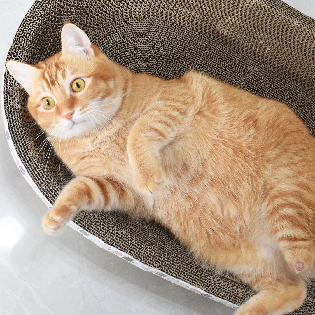 2-in-1 Katzenkratzbett &amp; Kratzbrett Oval - Hochdichte Wellpappe für Krallenpflege &amp; Schlaf - Langleb