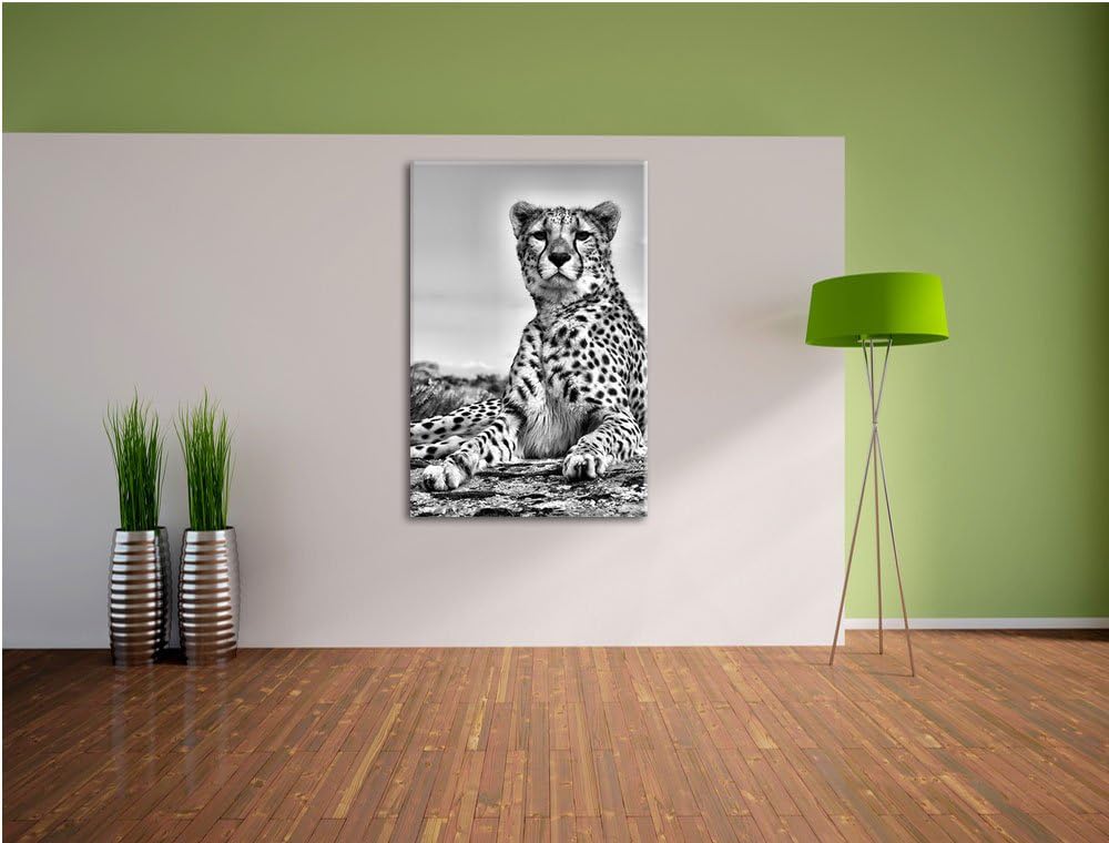 Pixxprint Gepard in Savanne als Leinwandbild | Grösse: 100x70 | Wandbild| Kunstdruck | fertig bespan