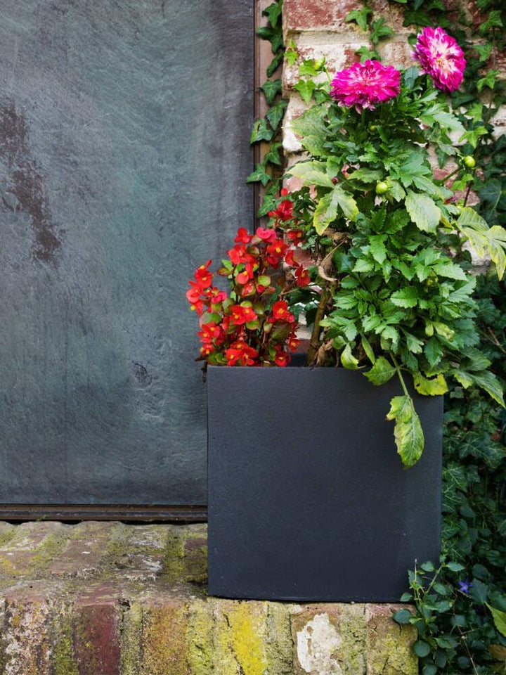 Pflanzwerk® Pflanzkübel Cube Anthrazit 45x55x55cm *Frostbeständiger Blumenkübel* *UV-Schutz* *Qualit