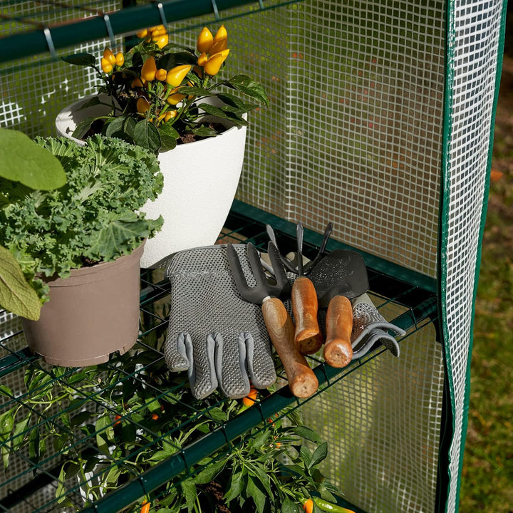 Bramble - Premium Garten Foliengewächshaus für Balkon &amp; Terrasse mit 4 Etagen, Stahlrahmen &amp; Verstär