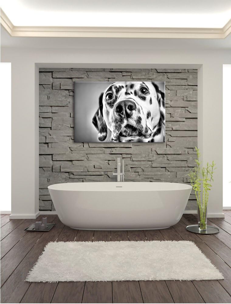 Pixxprint Süsser Dalmatiner / 100x70cm Leinwandbild bespannt auf Holzrahmen/Wandbild Kunstdruck Deko