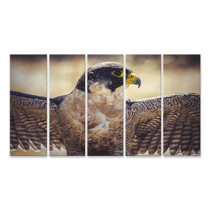 islandburner Bild auf Leinwand Wanderfalke Offene Flügel Vogel Gefieder Bilder Wandbilder Poster Lei