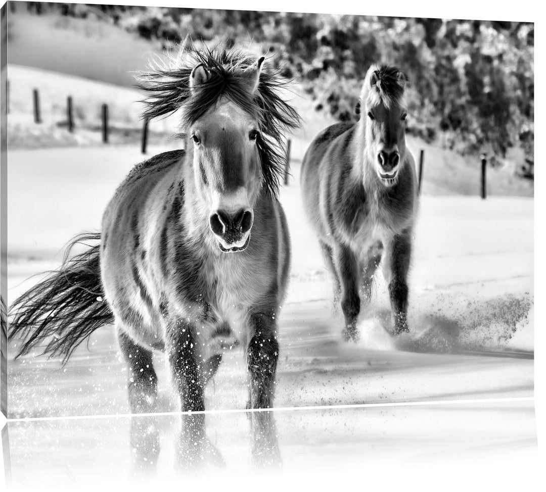 Pixxprint Pferd im Schnee / 100x70cm Leinwandbild bespannt auf Holzrahmen/Wandbild Kunstdruck Dekora