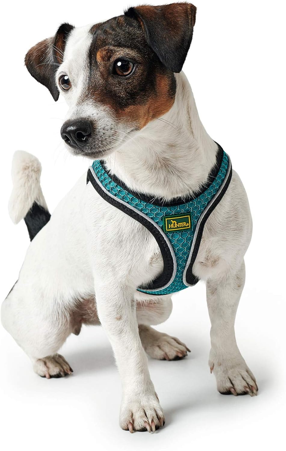 HUNTER Hundegeschirr HILO COMFORT, Farbe: türkis, Easy Step-In Geschirr für kleine bis mittlere Hund