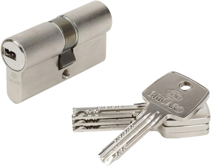 BRICARD 15701 Zylinder Astral 2, 9 Messing vernickelt 10 Kolben, 2 Eingänge 30 + 30, Protektoren geg