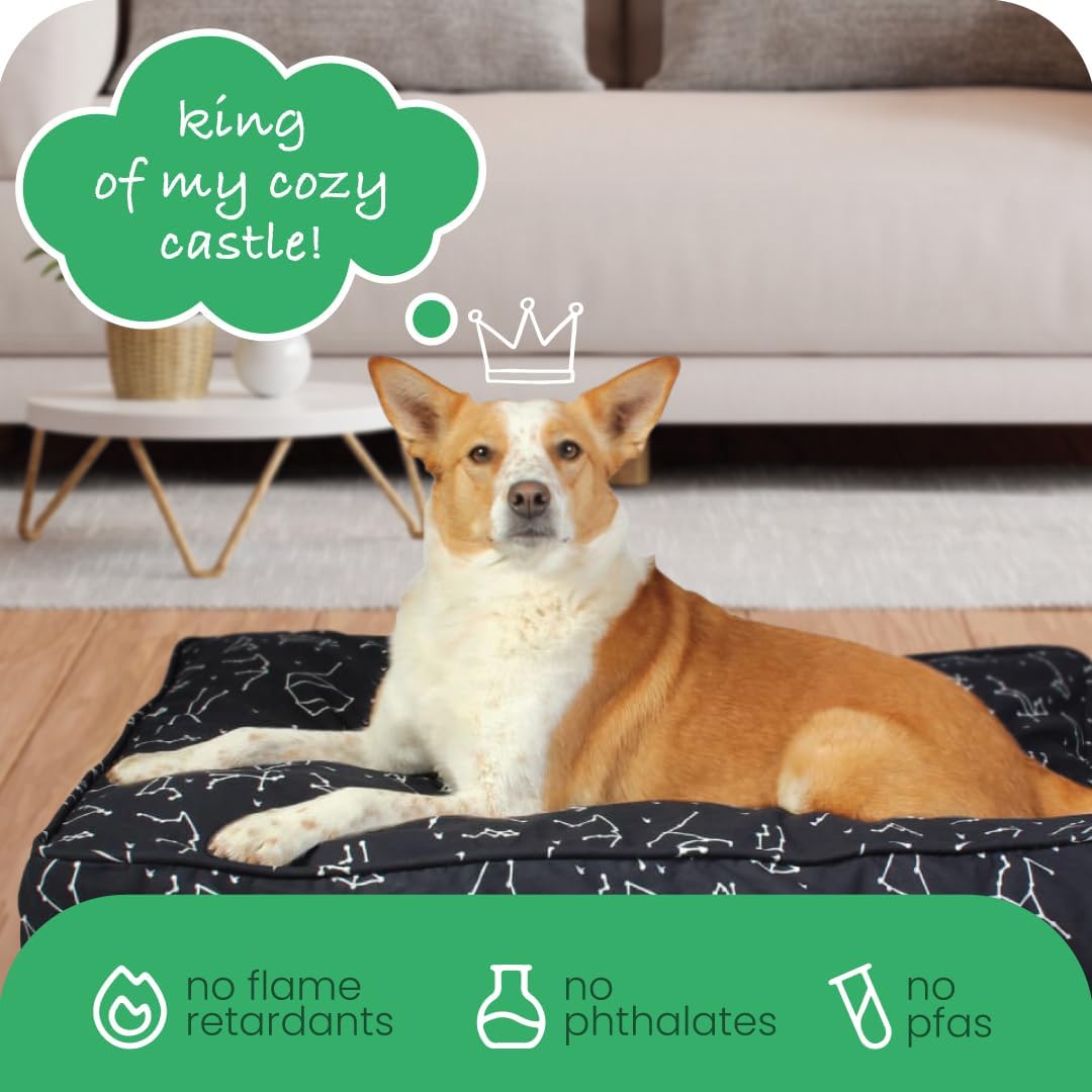 Molly Mutt Bezug für kleines Hundebett, Rocketman-Druck, Masse: 55,9 x 68,9 x 12,7 cm, 100% Baumwoll