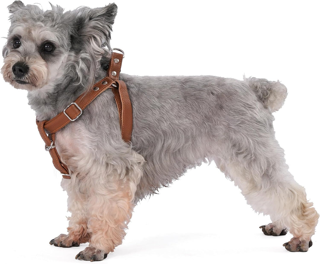 Hundegeschirr Leder Softgeschirr Verstellbare Brustgeschirre Norweger Haustier Ledergeschirr Weichem