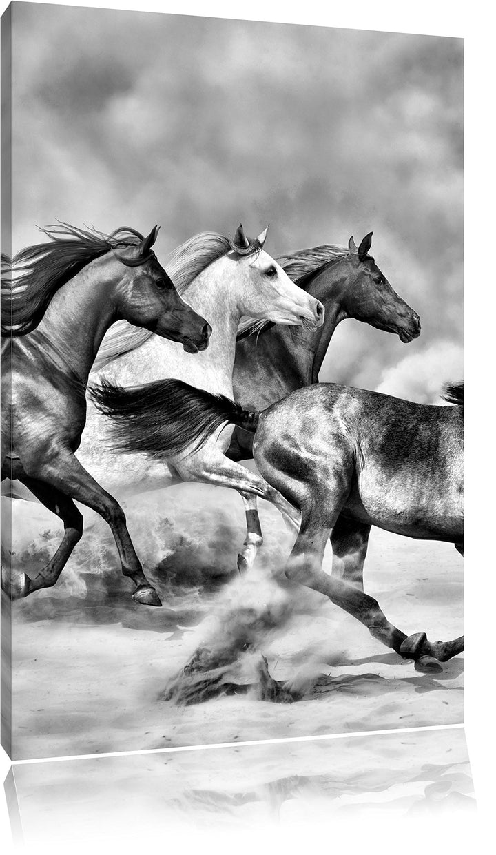 Pixxprint Western Pferde in Wüste als Leinwandbild/Grösse: 100x70 / Wandbild/Kunstdruck/fertig bespa