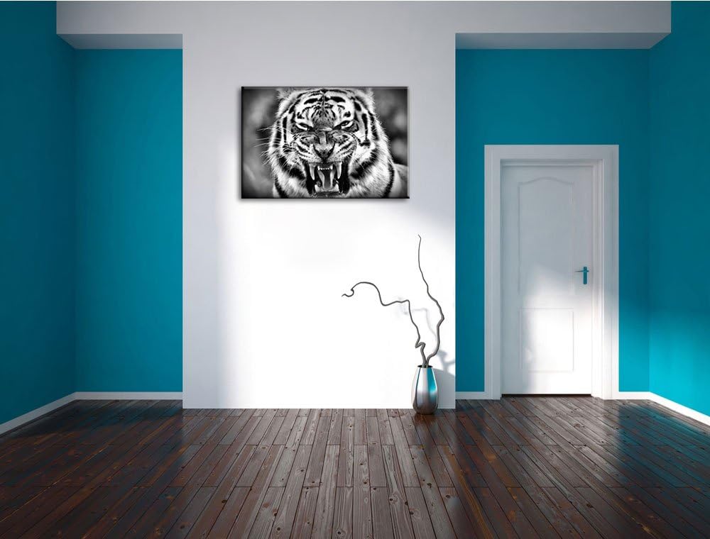 Pixxprint aggressiver Tiger als Leinwandbild/Grösse: 100x70 / Wandbild/Kunstdruck/fertig bespannt, 1