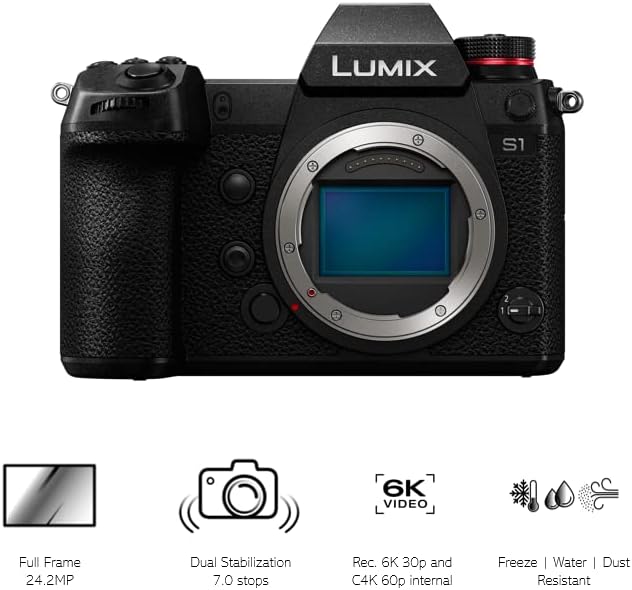 Panasonic DC-S1E-K spiegellose Vollformatkamera, 4K 60p/50p Videoaufnahmen mit Flip Screen (professi