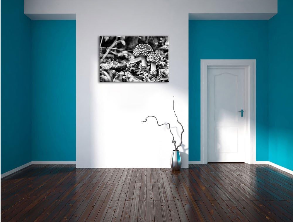 Monocrome, Pilz im Wald, Format: 100x70 auf Leinwand, XXL riesige Bilder fertig gerahmt mit Keilrahm