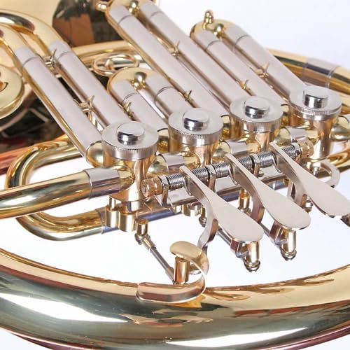 French Horn, B Waldhorn, Goldmessing Mundrohr, 4 Zylinderventile, Abnehmbarer Schallbecher, Koffer