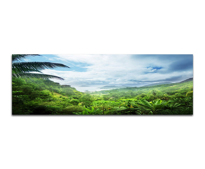 Paul Sinus Art Panoramabild auf Leinwand und Keilrahmen 150x50cm Seychellen Wald Palmen Wolken
