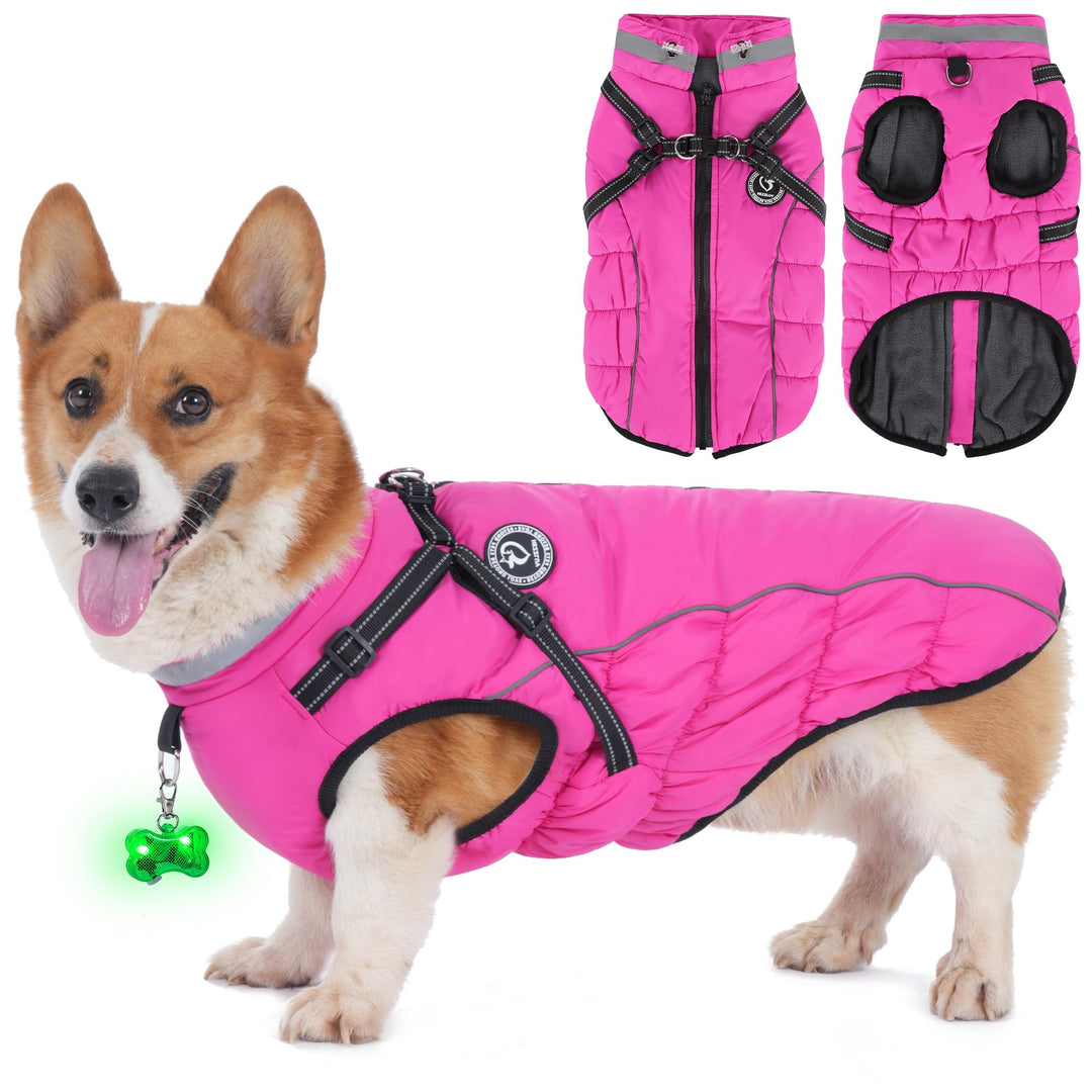 Hundemantel Winter, Hundemantel Wasserdicht, Warme Hundejacke mit Geschirr, Reflektierende Streifen,