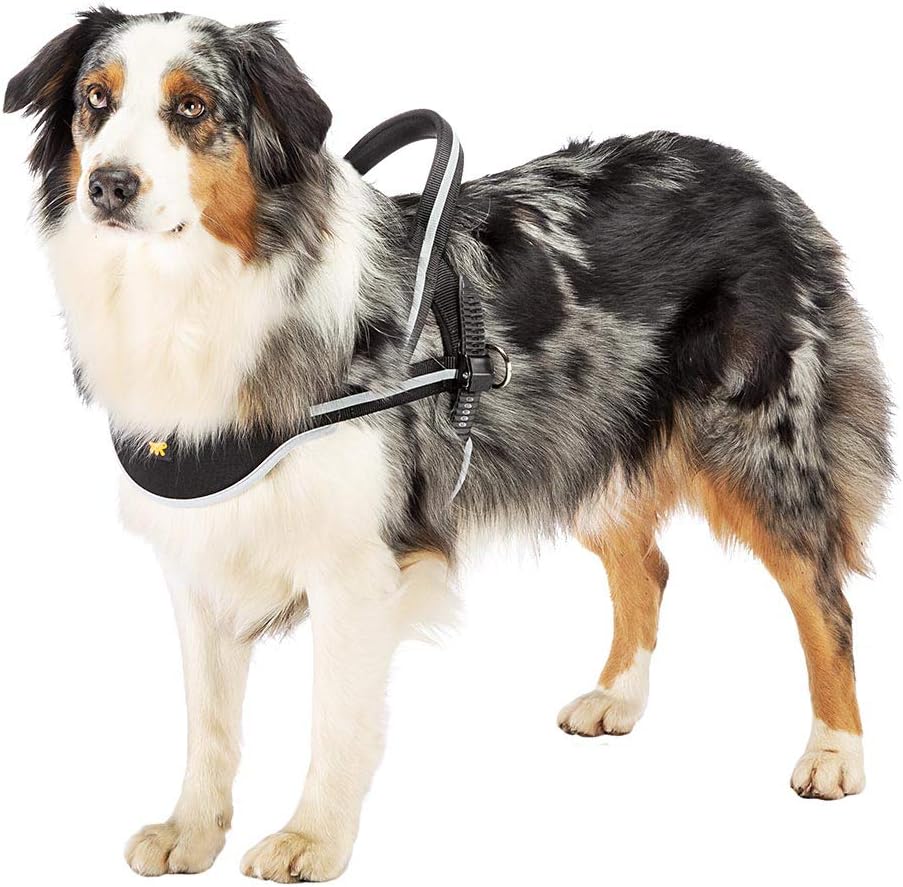 Ferplast Hundegeschirr grosse Hunde Geschirr Hunde ERGOCOMFORT NORDIC 3, Halsumfang: 65 cm, Brustumf
