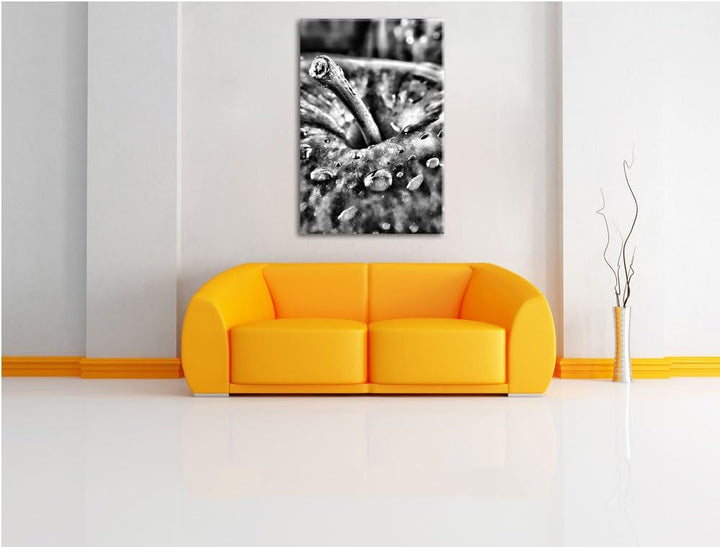 Monocrome, Apfel, Format: 100x70 auf Leinwand, XXL riesige Bilder fertig gerahmt mit Keilrahmen, Kun