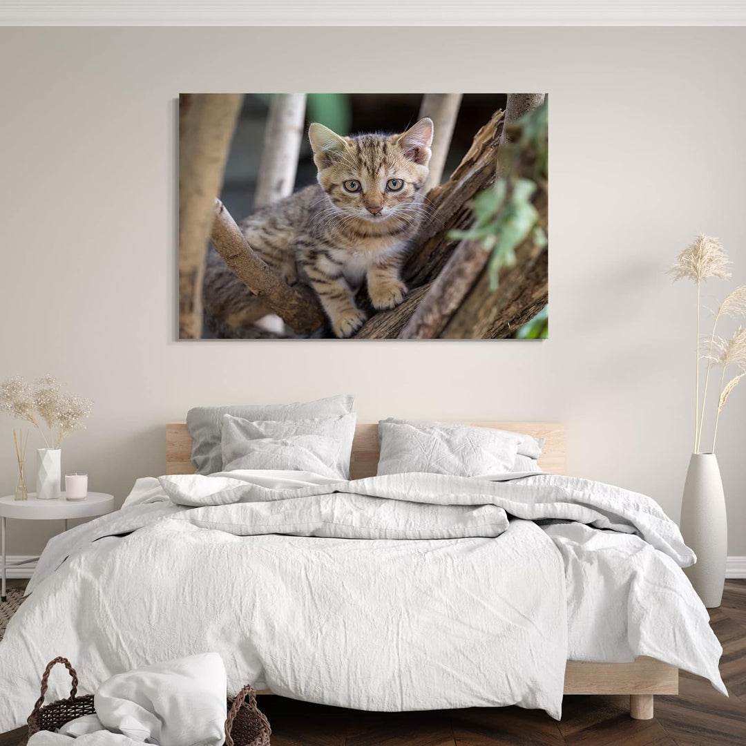 Printed Paintings Leinwand (100x70cm): Katzenbaby draussen auf Baum Katzenbilder 100x70 cm, 100x70 c