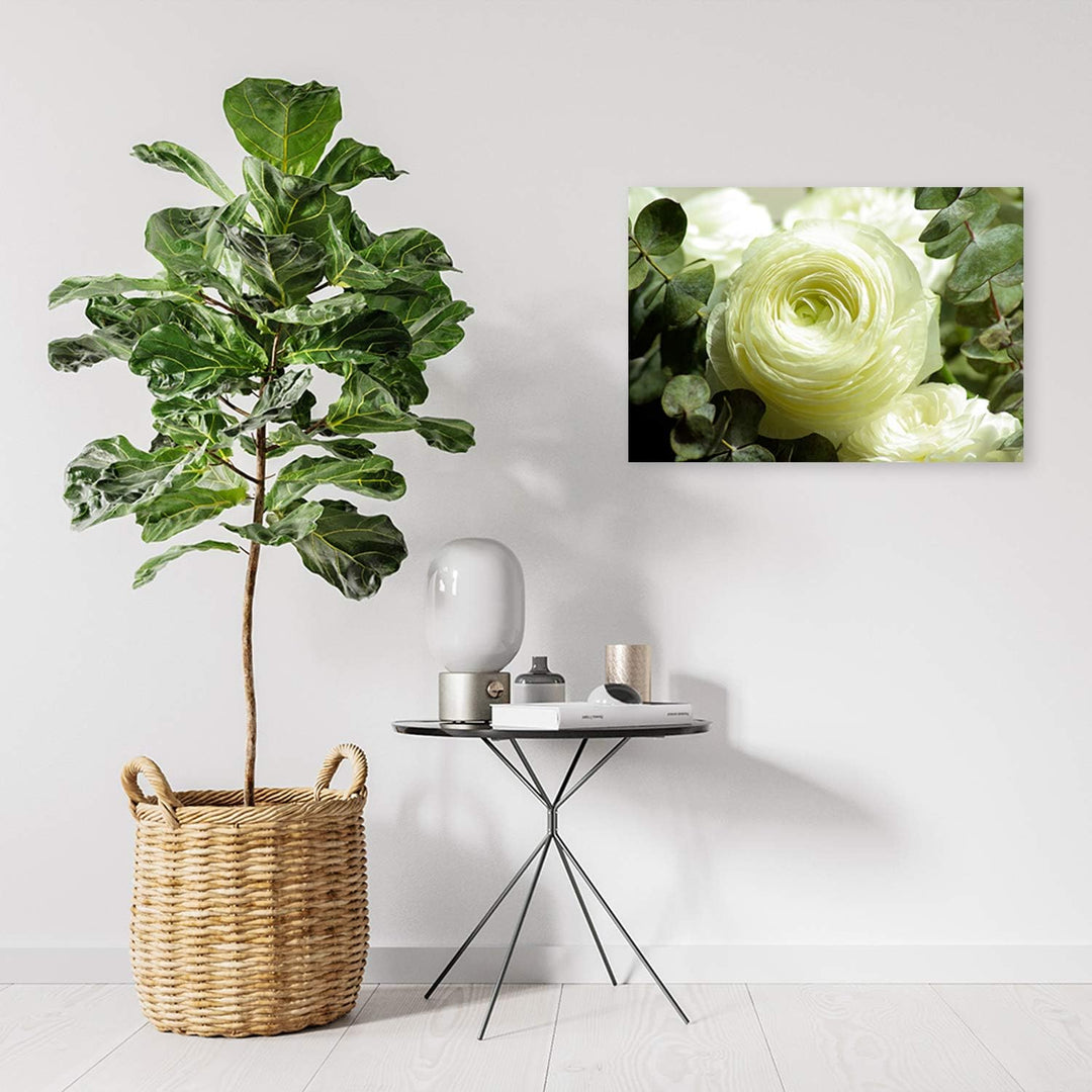 Feeby Bild auf Leinwand Blumen Weisse Rosen XXL 120x80 cm 1Teilig Wohnzimmer Schlafzimmer Modern Bil