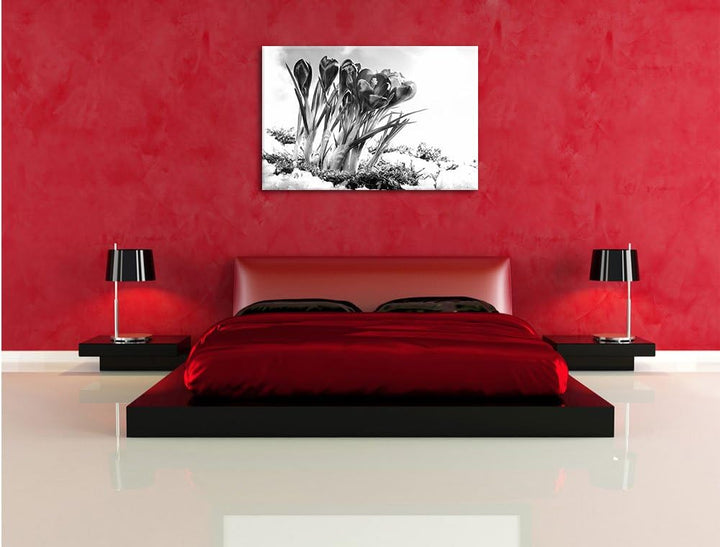 Pixxprint Frühling florwer Hintergrund als Leinwandbild | Grösse: 100x70 cm | Wandbild | Kunstdruck