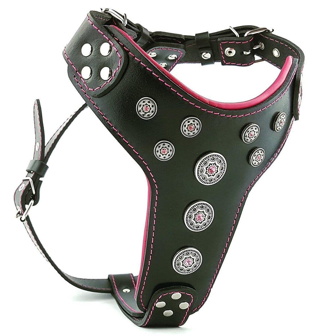 Bestia Bijou Hundegeschirr aus echtem Leder mit Nieten für mittelgrosse bis grosse Rassen 95 -145 cm