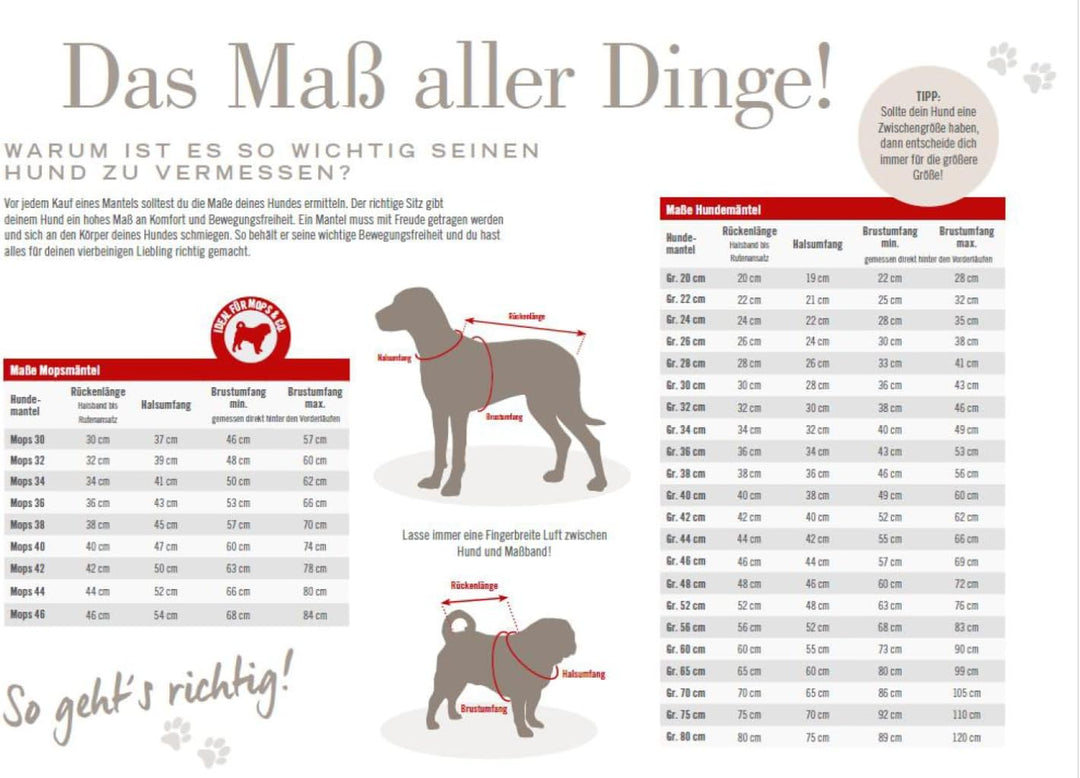 Wolters Hundejacke Cape Drizzle | Ganzjahresjacke für Hunde in der Farbe Magenta | Grösse 60 (Rücken