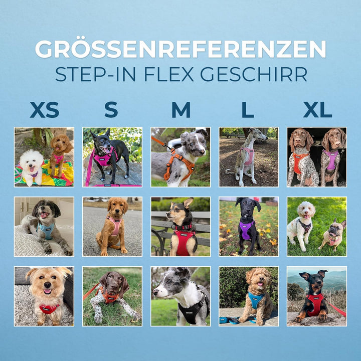 Voyager by Best Pet Supplies Hundegeschirr aus Netzstoff, verstellbar, reflektierend, 3M-Paspelierun
