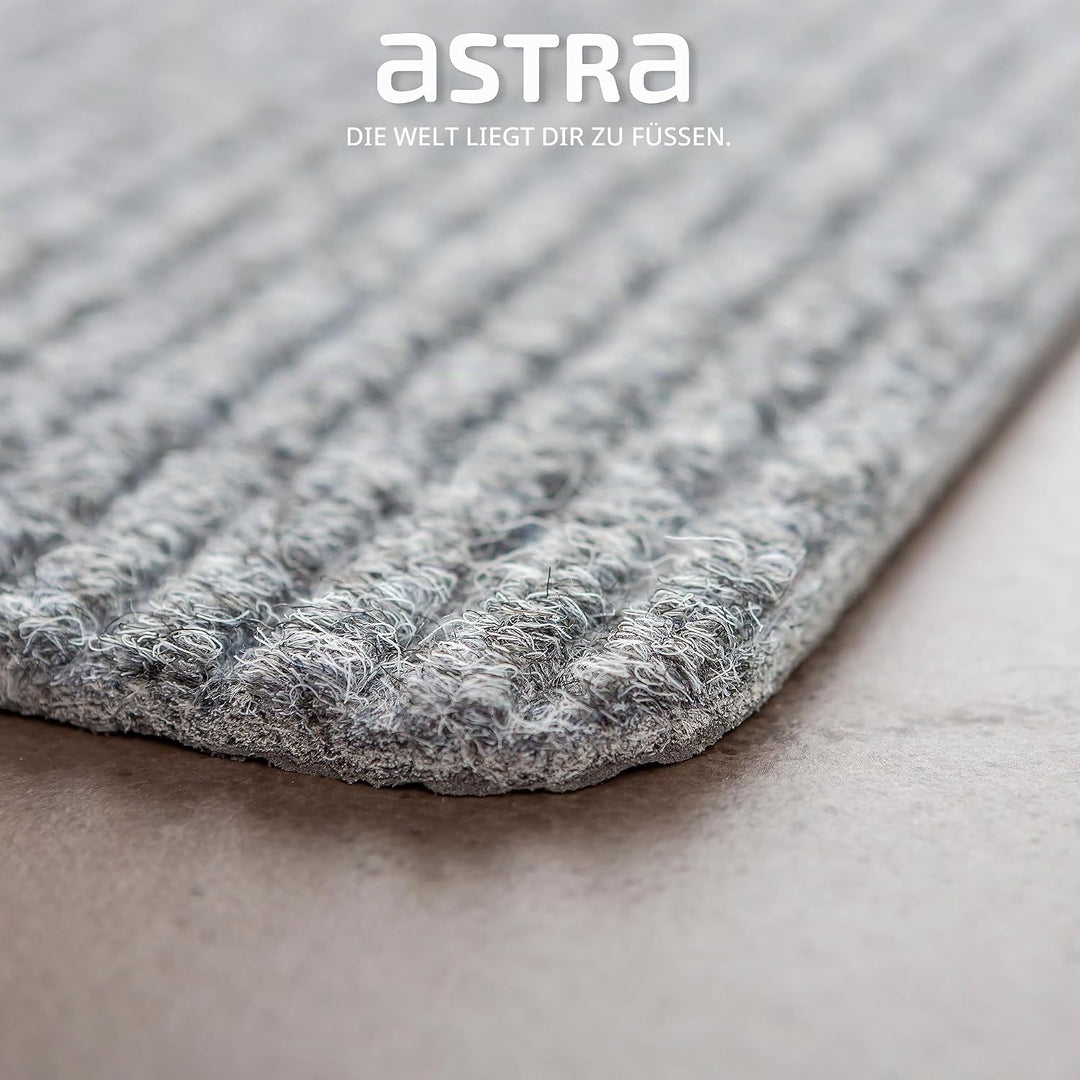 Astra Fussmatte innen Silber Schmutzfangmatte rutschfest – Türmatte 25x60 cm 3er Set wasserabweisend