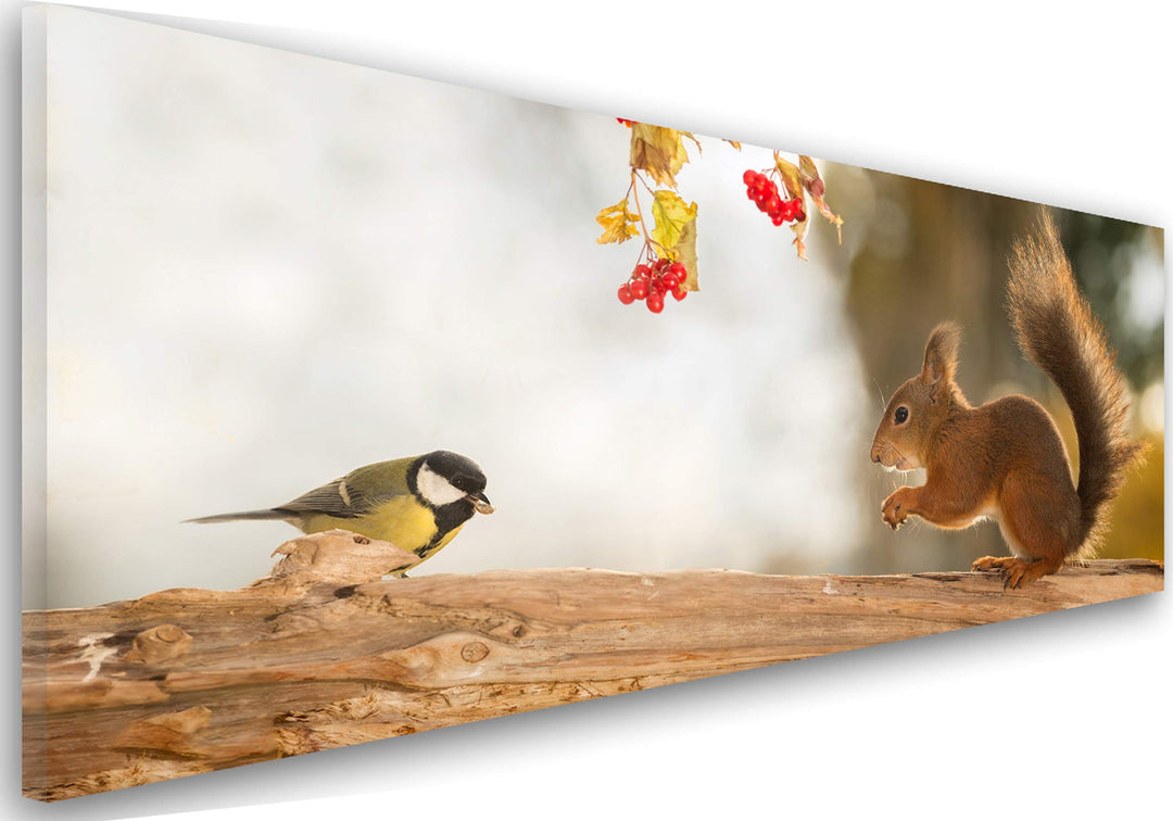 Feeby. Leinwandbild, Bilder, Wand Bild, Wandbilder, Kunstdruck 150x50 cm, EICHHÖRNCHEN, NATUR, BRAUN