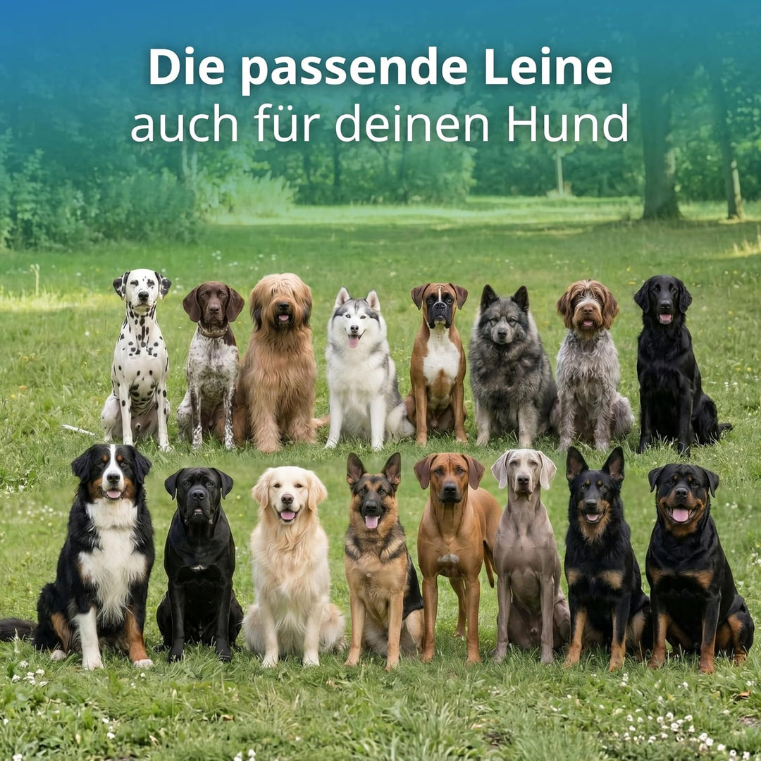 Geflochtene Hundeleine für grössere und grosse Hunde | 2m lang | 3-Fach verstellbare Führleine | Dur