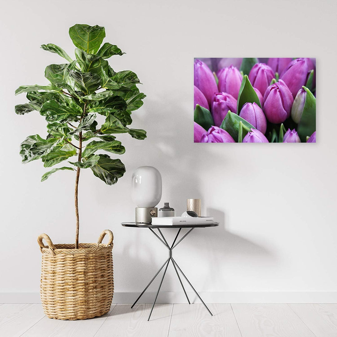 Feeby Wandbild Tulpen Druckbild Leinwandbild Natur Violett 100x70 cm Leinwandbild 100x70 cm Violett_