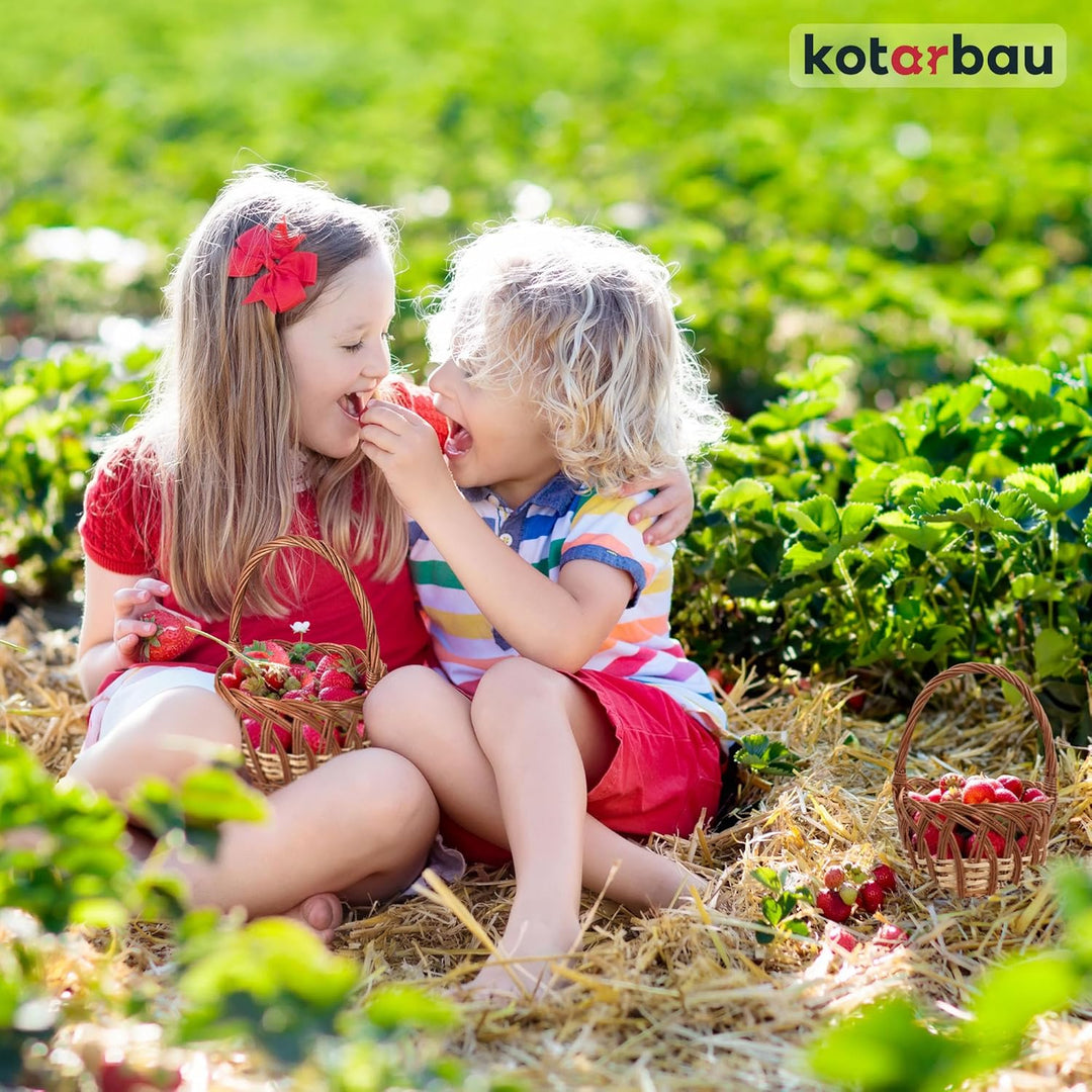 KOTARBAU® Weidenkorb mit Henkel Kinder Osterkorb mit Henkel Klein Rund 250 x 170 mm Osterkorb Weide
