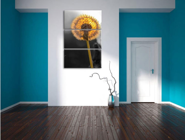 Pixxprint schöne Pusteblumen beim Sonnenuntergang schwarz/weiss 3-Teiler Leinwandbild 120x80 Bild au