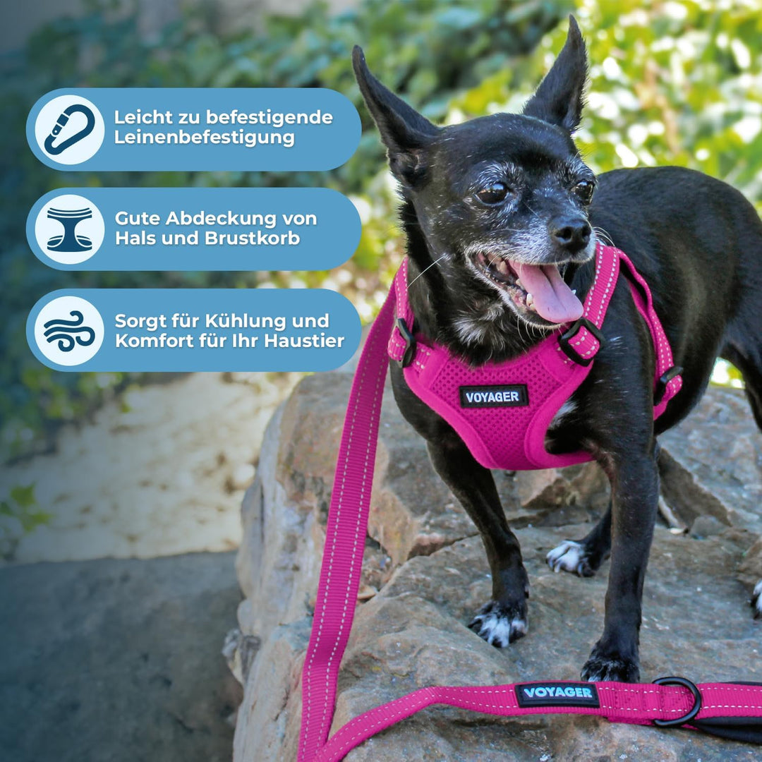 Voyager by Best Pet Supplies Hundegeschirr aus Netzstoff, verstellbar, reflektierend, 3M-Paspelierun