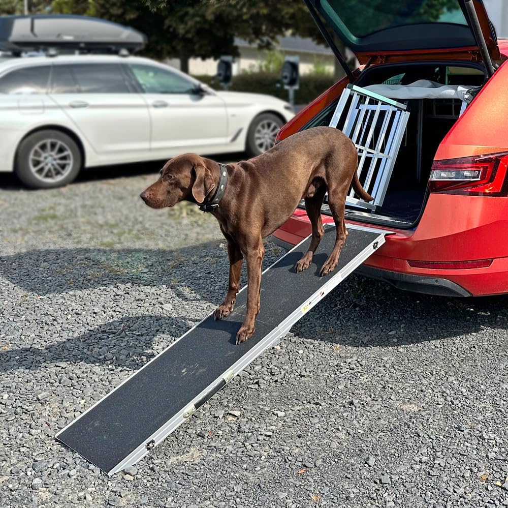 Petigi Hunderampe Hundetreppe Auto Kofferraum Treppen Rampe Einstiegshilfe für Hunde Klappbar Alumin