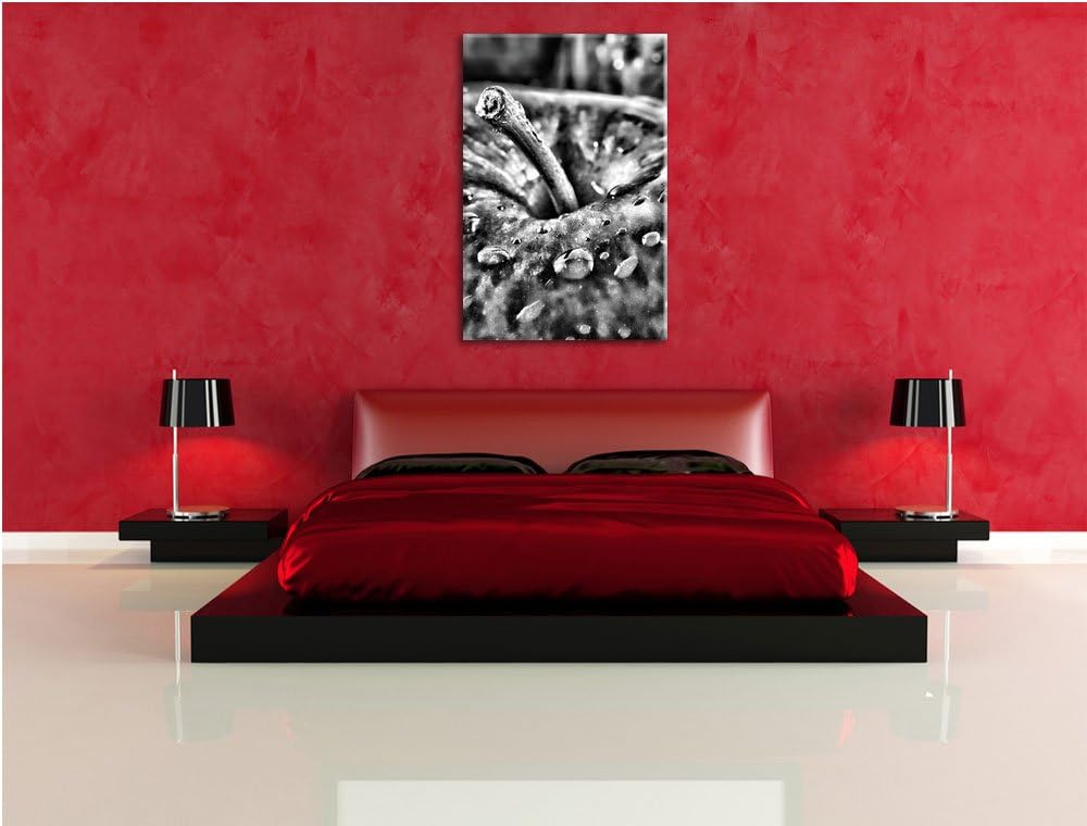 Monocrome, Apfel, Format: 100x70 auf Leinwand, XXL riesige Bilder fertig gerahmt mit Keilrahmen, Kun